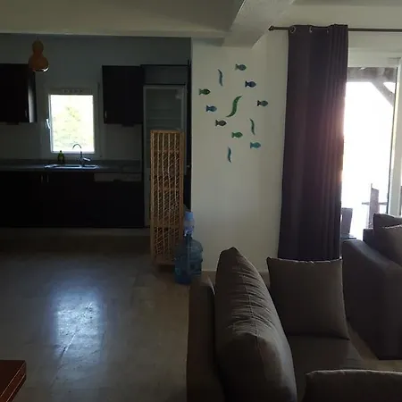 فيلة Bodrum Ozel Havuzlu Mustakil Tripleks غوندوغان