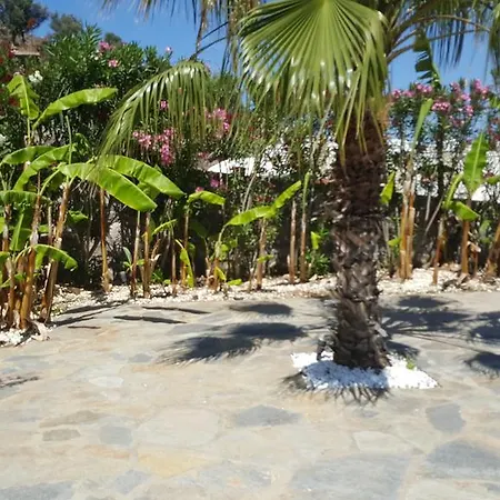 Bodrum Ozel Havuzlu Mustakil Tripleks Gundogan (Bodrum)